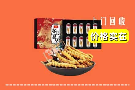 泉州丰泽区回收冬虫夏草